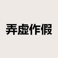 弄虚作假是什么意思