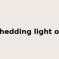 shedding light on是什么意思