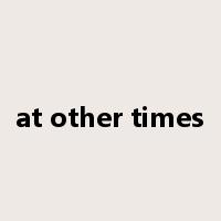 at other times是什么意思