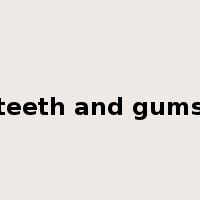 teeth and gums是什么意思