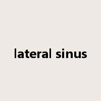 lateral sinus是什么意思