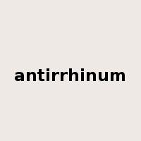 antirrhinum是什么意思