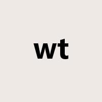 wt是什么意思
