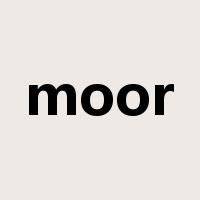 moor是什么意思