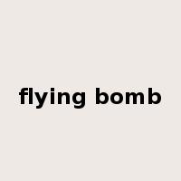 flying bomb是什么意思