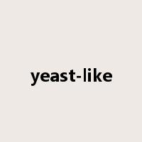 yeast-like是什么意思