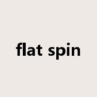 flat spin是什么意思