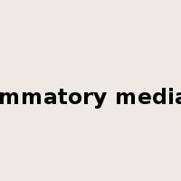 inflammatory mediators是什么意思