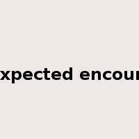 unexpected encounter是什么意思