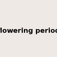 flowering period是什么意思