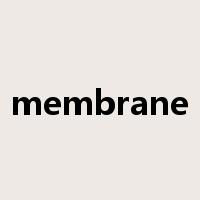 membrane是什么意思