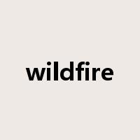 wildfire是什么意思