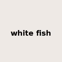 white fish是什么意思