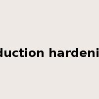 induction hardening是什么意思