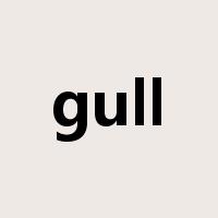 gull是什么意思