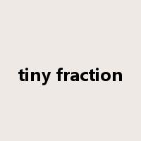 tiny fraction是什么意思
