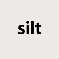 silt是什么意思