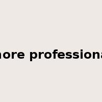 more professional是什么意思