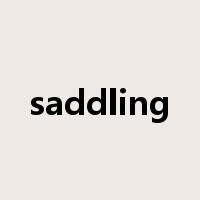 saddling是什么意思
