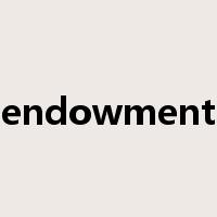 endowment是什么意思