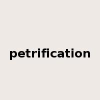 petrification是什么意思