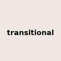 transitional是什么意思