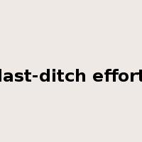last-ditch effort是什么意思