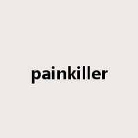 painkiller是什么意思