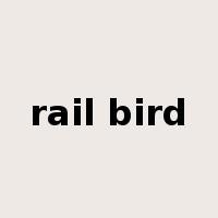 rail bird是什么意思