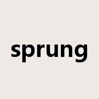 sprung是什么意思