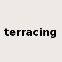 terracing是什么意思
