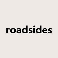 roadsides是什么意思