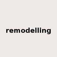 remodelling是什么意思