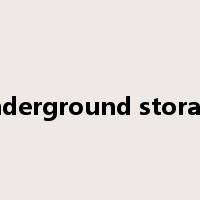underground storage是什么意思