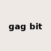 gag bit是什么意思