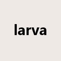 larva是什么意思