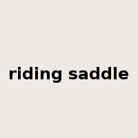 riding saddle是什么意思