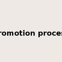 promotion process是什么意思