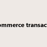 e-commerce transaction是什么意思