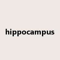 hippocampus是什么意思
