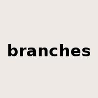 branches是什么意思
