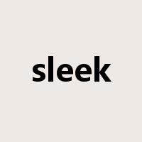 sleek是什么意思