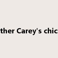 Mother Carey's chicken是什么意思