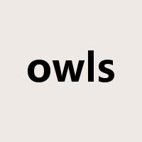 owls是什么意思