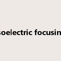 isoelectric focusing是什么意思