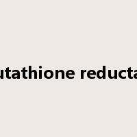 glutathione reductase是什么意思