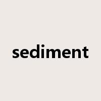 sediment是什么意思