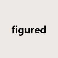 figured是什么意思