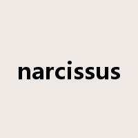 narcissus是什么意思