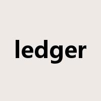 ledger是什么意思
